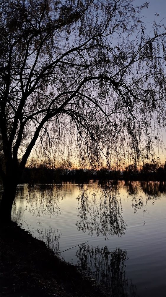 Photograph by Евгения Самвеловна Григорян