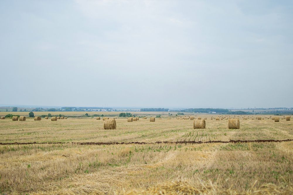 Фотография автора Михаил Бушенёв
