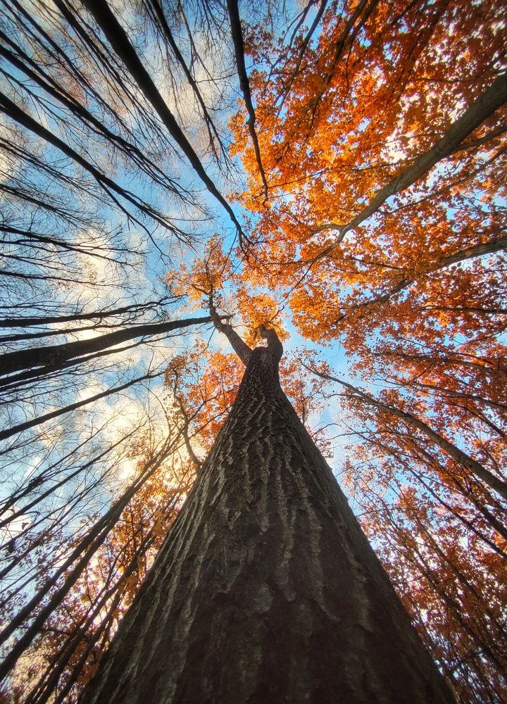 Photograph by Natalia Bolotenkova