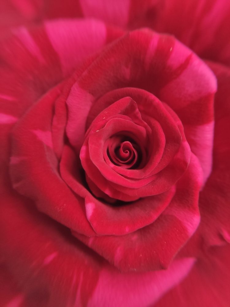 Photograph by Ольга Денисова