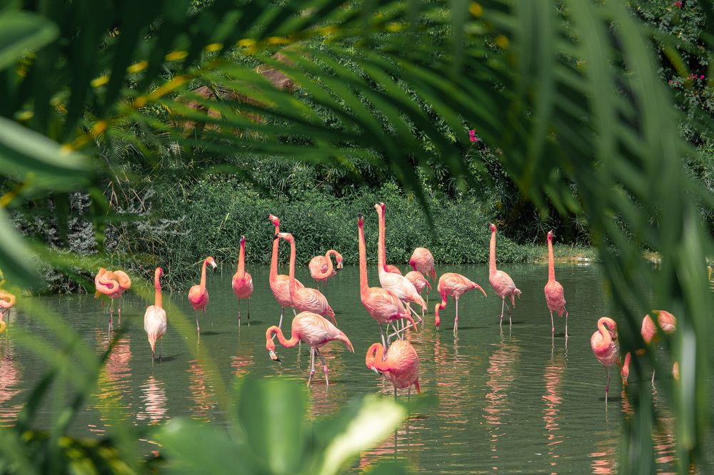 Фотография автора Сергей Рыженко