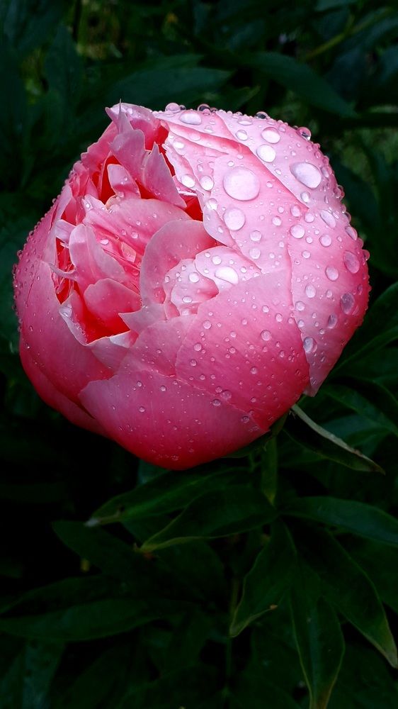 Photograph by Татьяна Солтан