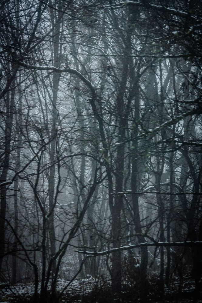 Photograph by Пётр Чумак