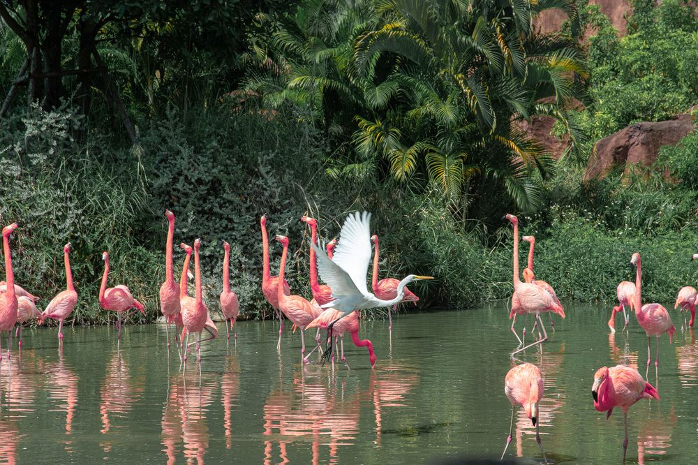 Фотография автора Сергей Рыженко