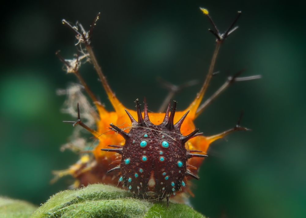 Photograph by Mark Kineth Casindac