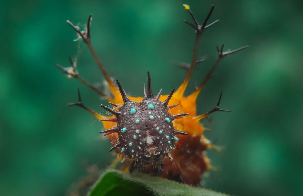 Photograph by Mark Kineth Casindac