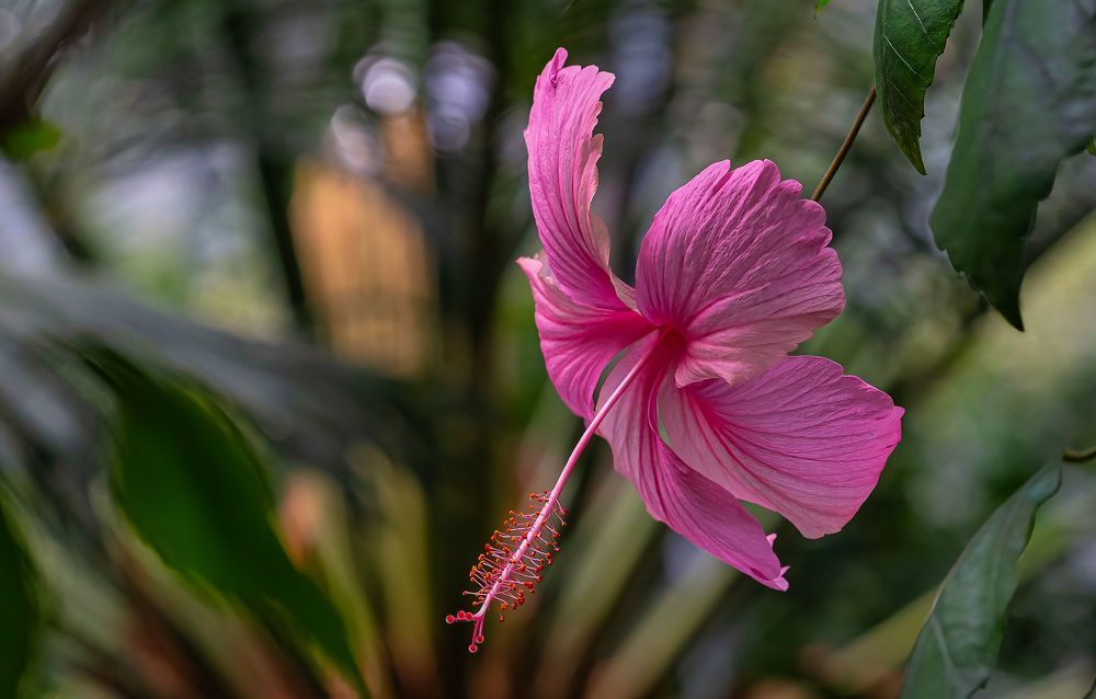 Photograph by yuri kutukov