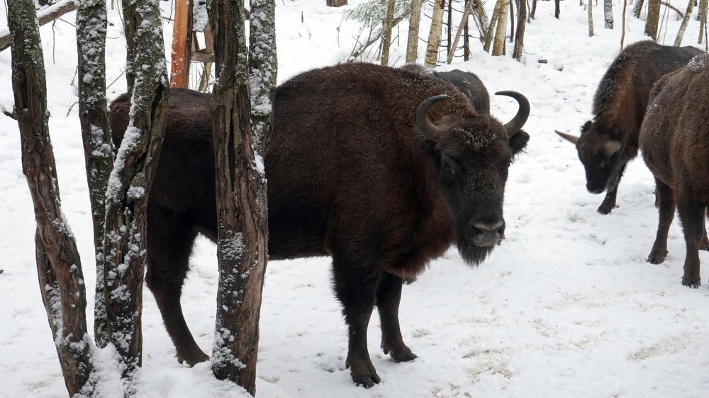 Photograph by Сергей Хохлов