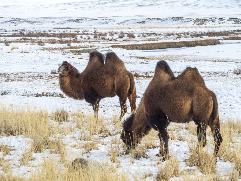Photograph by Надежда Михайлина