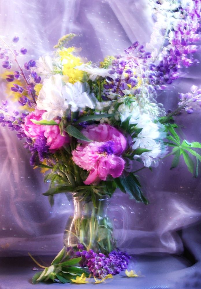 Photograph by Olga Asson