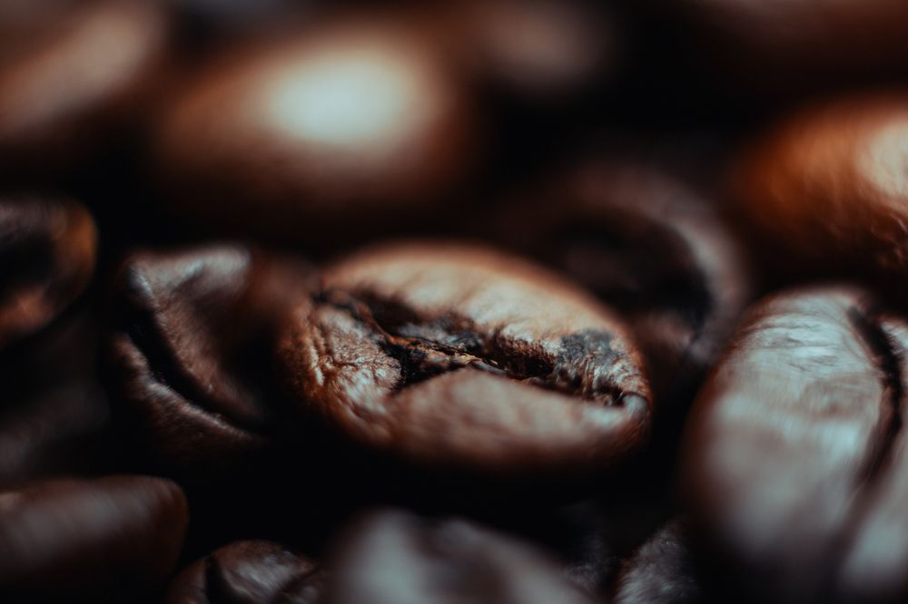 Photograph by Kamil Stępień