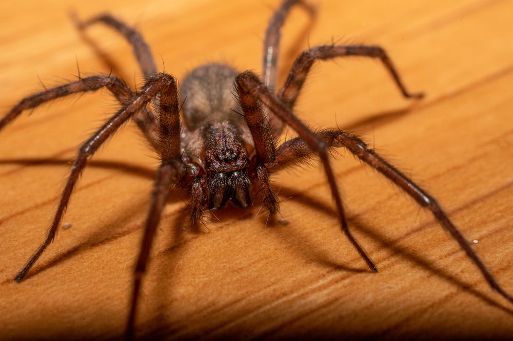 Photograph by Павел Юнусов