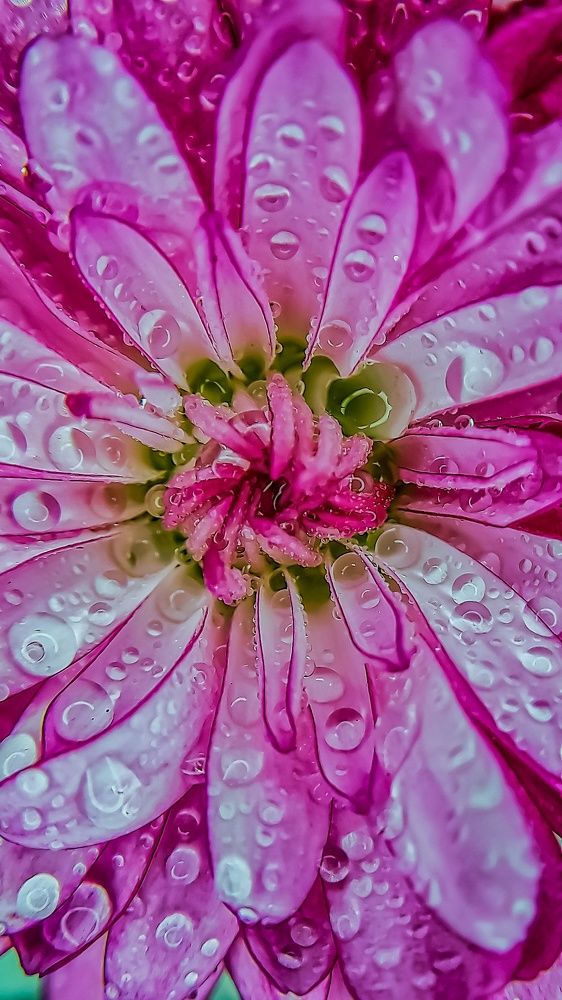 Photograph by Наталья Лищинская