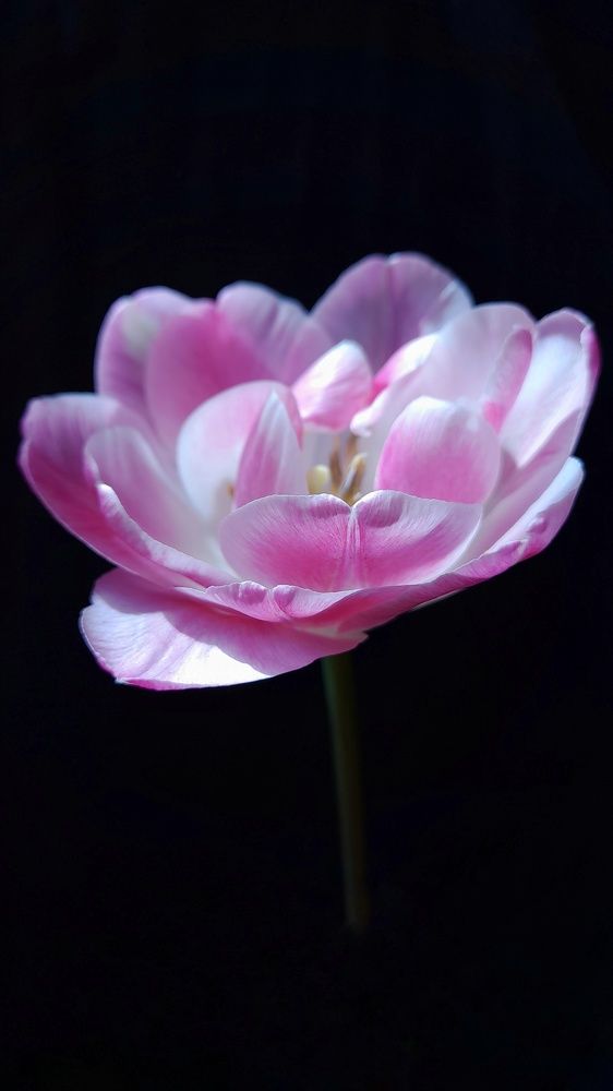 Photograph by Наталья Лищинская