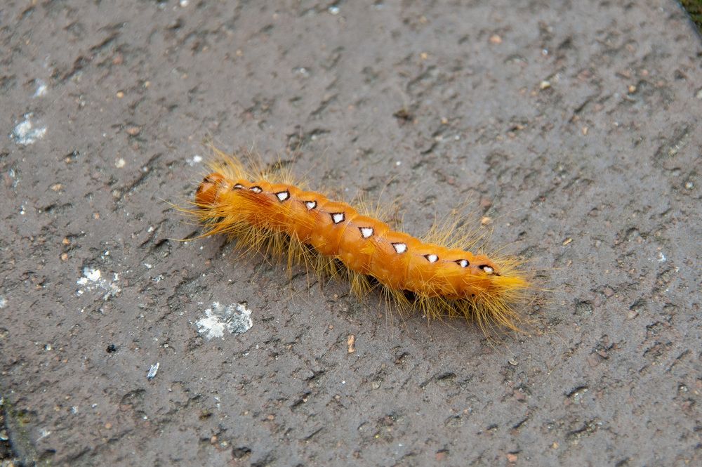 Photograph by Павел Юнусов