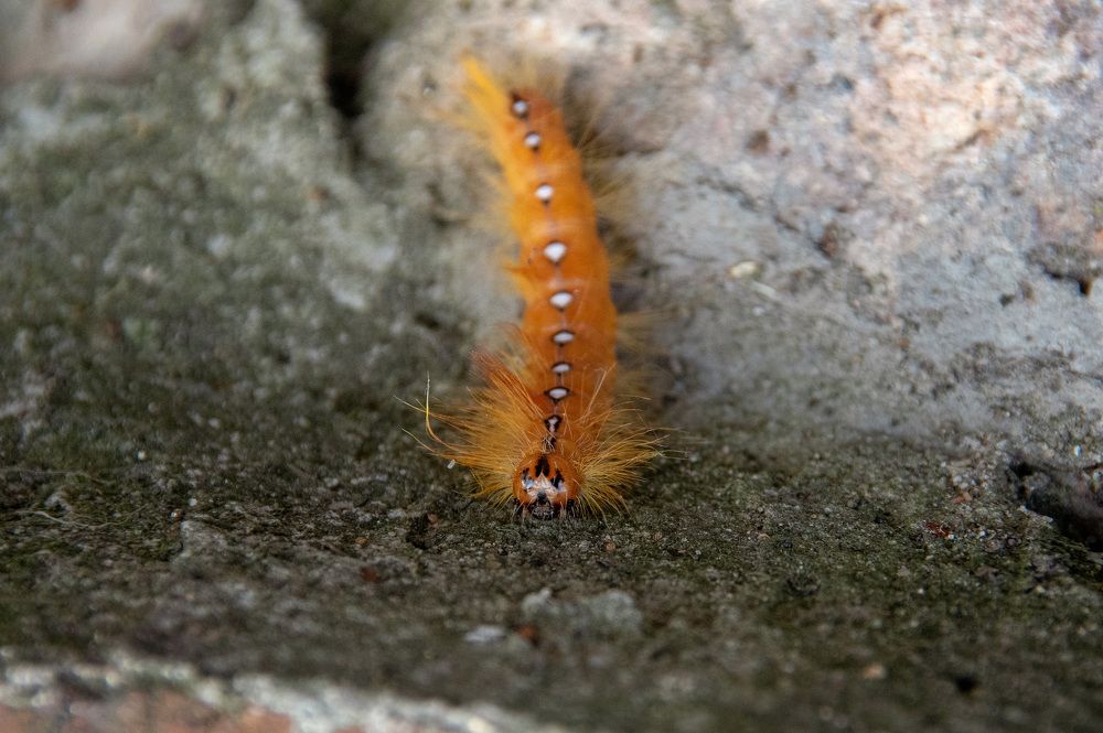 Photograph by Павел Юнусов