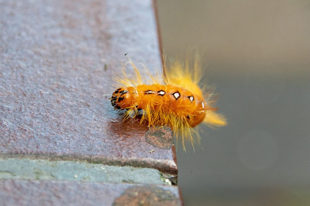 Photograph by Павел Юнусов