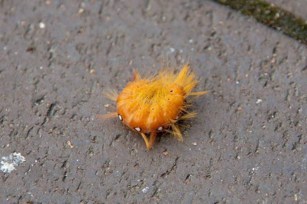 Photograph by Павел Юнусов