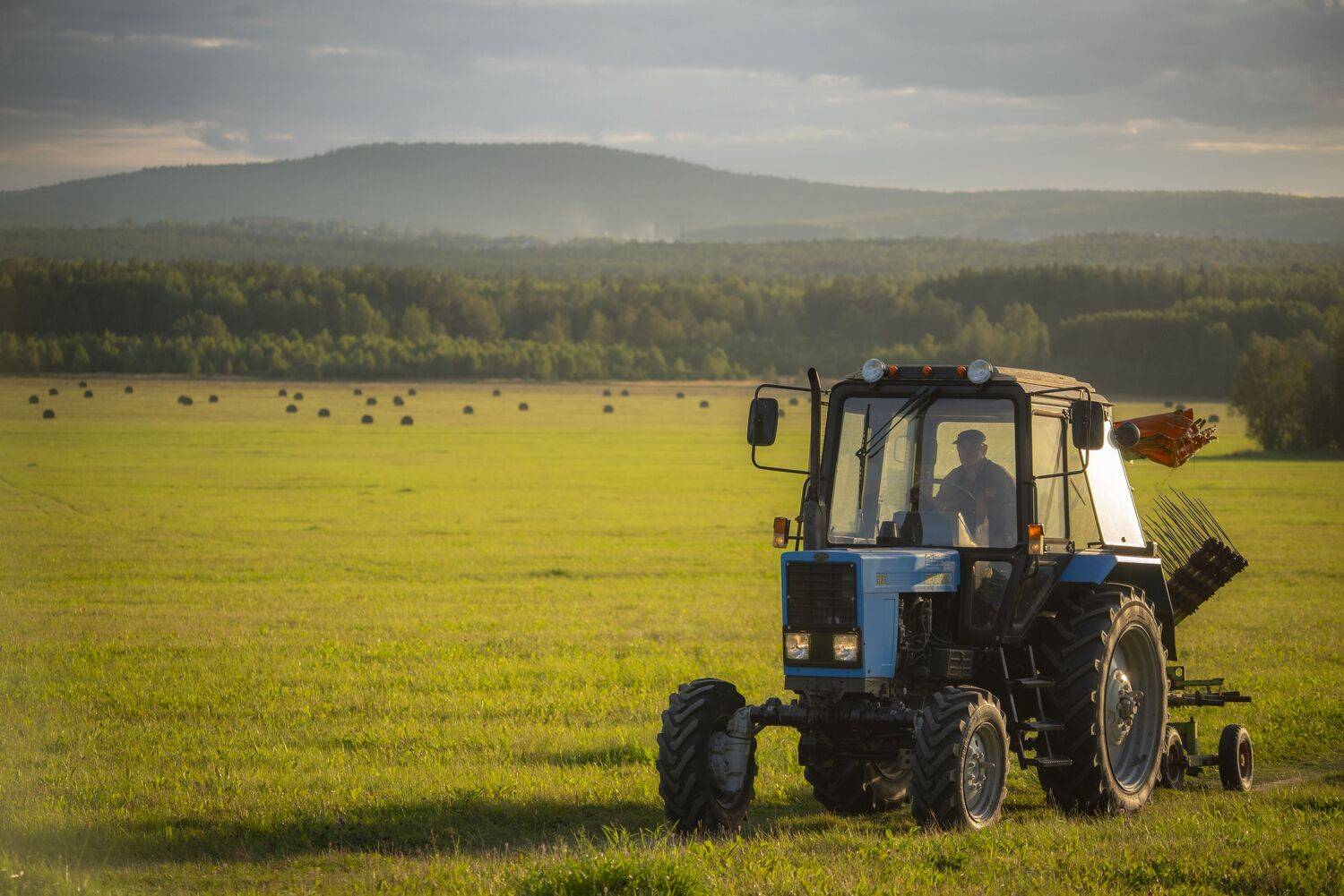 Фотография #11451066