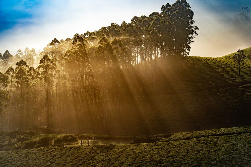 Фотография автора Sreeraj M R