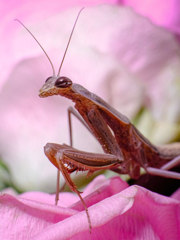 Photograph by Анастасия Подгрушная