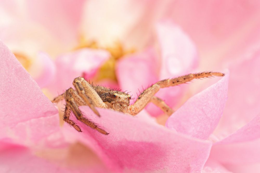 Photograph by Анастасия Подгрушная