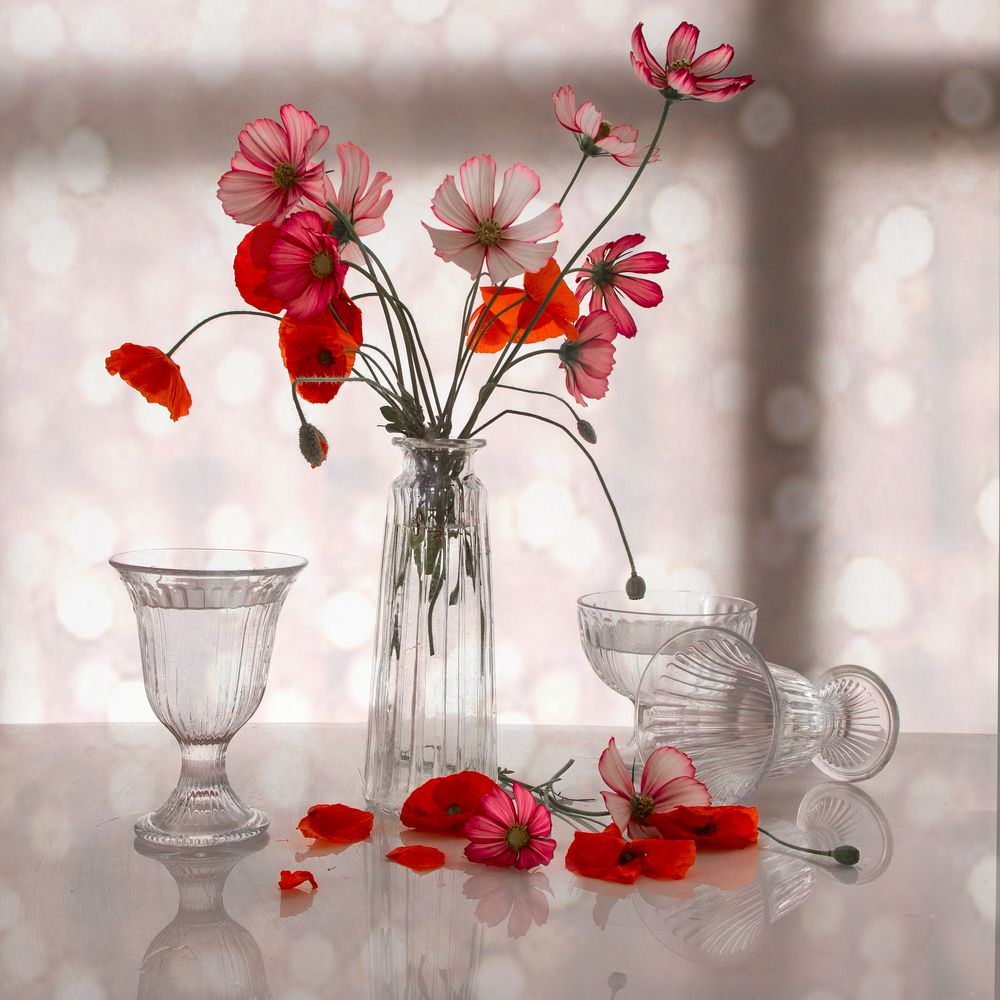 Photograph by Татьяна Назмутдинова