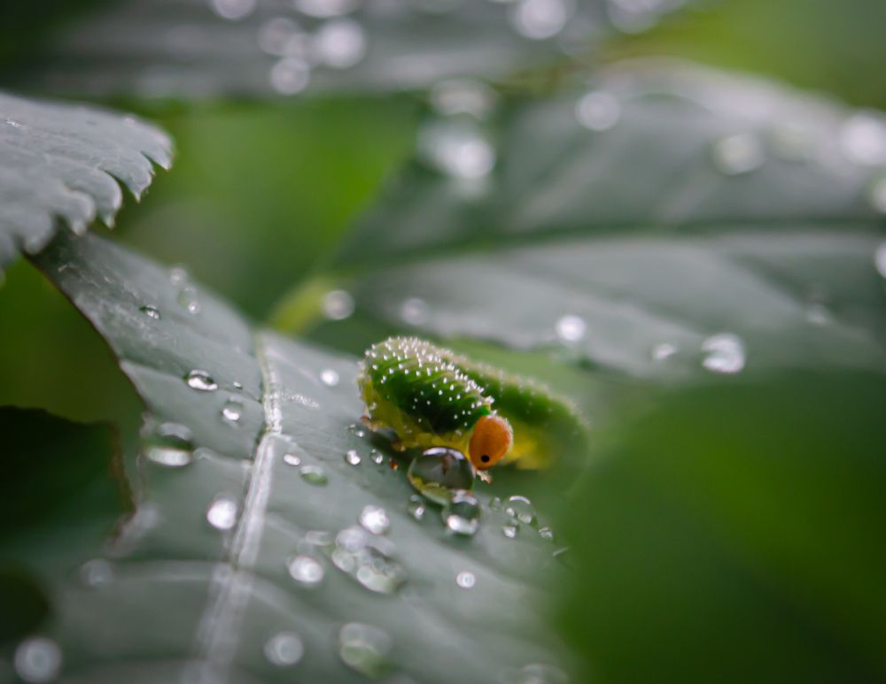 Photograph by Ксения Тенькина