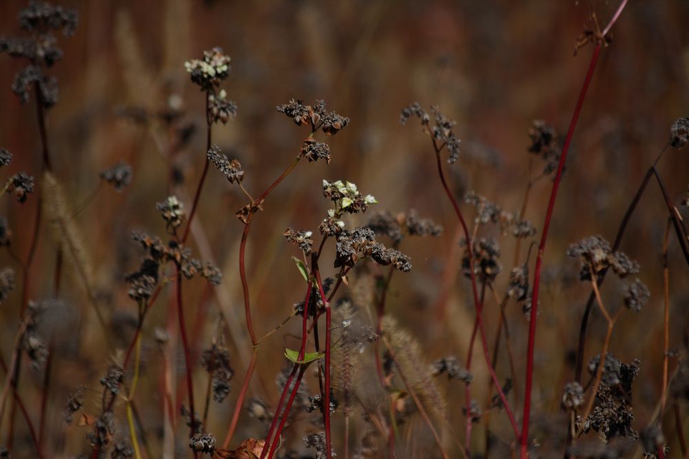Photograph by Сергей Симаков