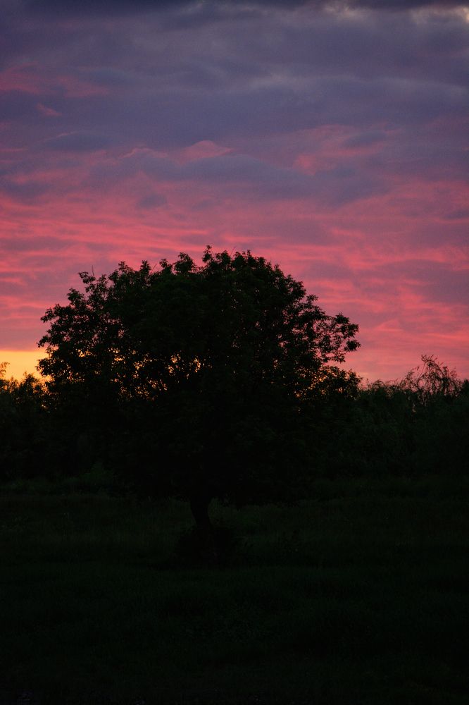 Photograph by Сергей Симаков