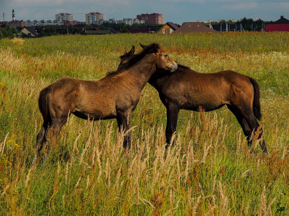 Photograph by Наталья Балабанова