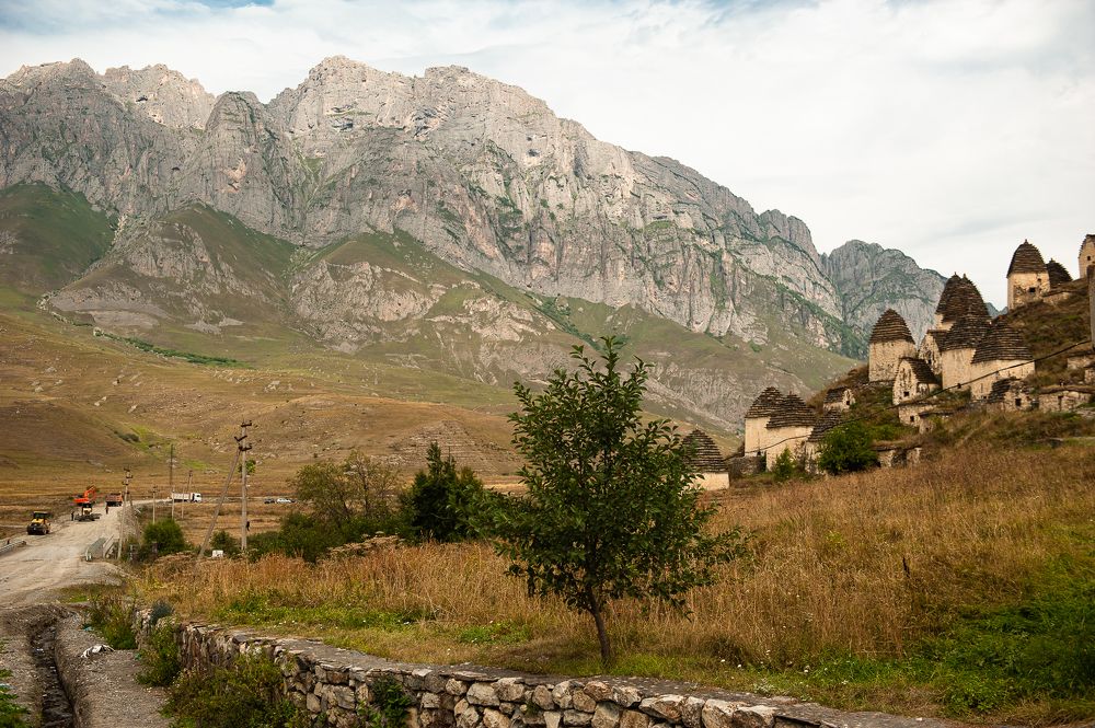 Фотография автора Елена Ефименко