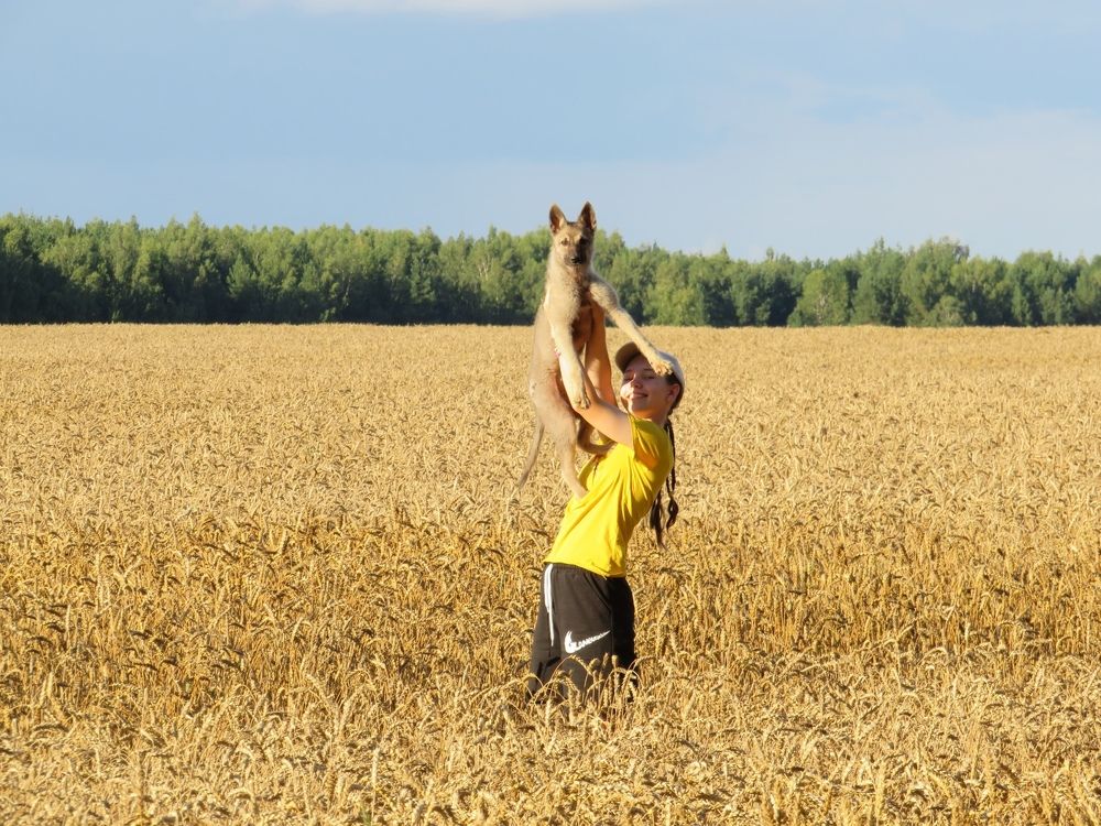 Photograph by Елена Кузина