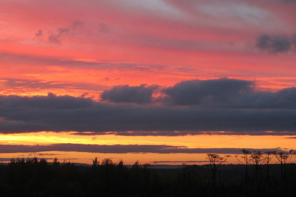 Photograph by Ольга Березовская