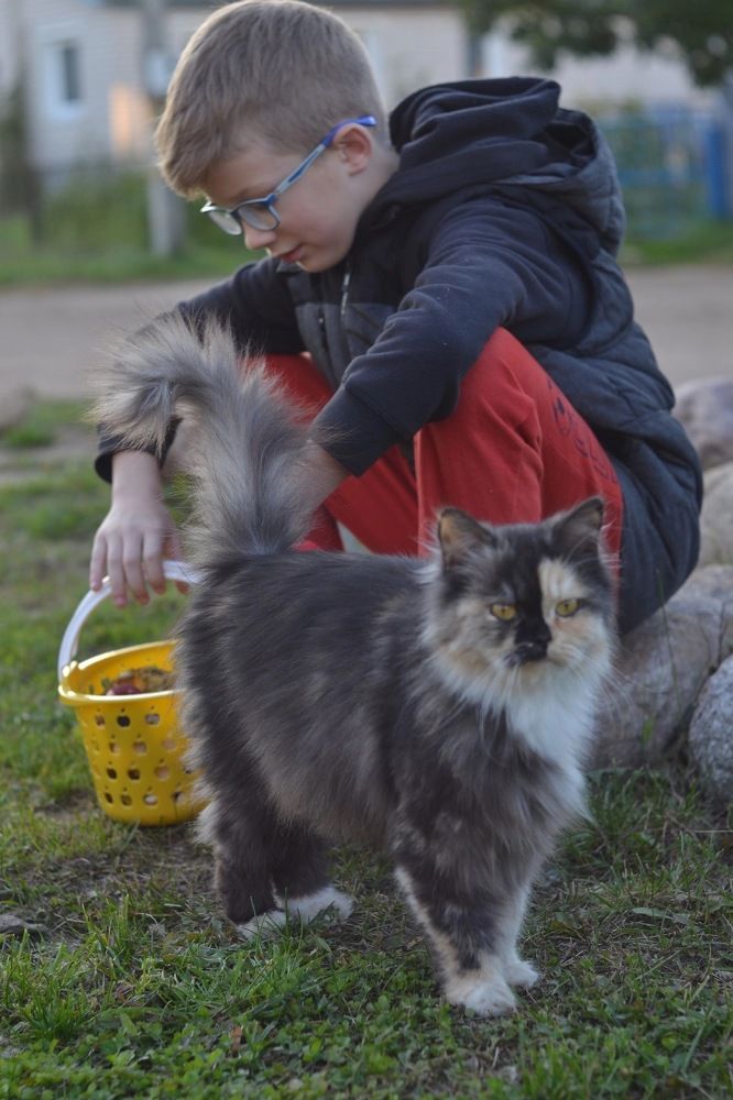 Photograph by Анна Кулакова