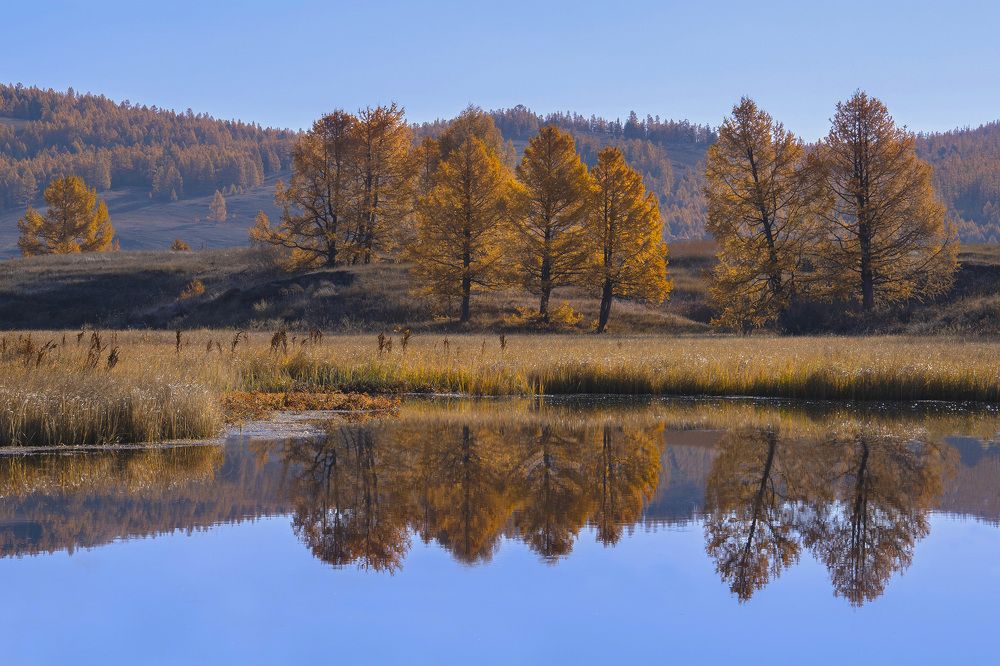 Фотография автора Галина Дейнекина