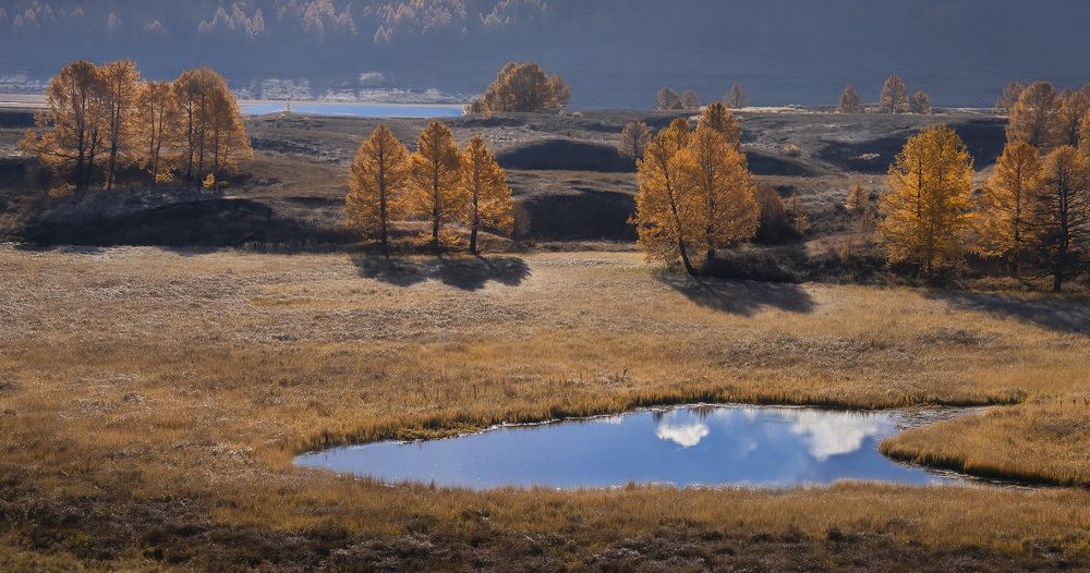 Фотография автора Галина Дейнекина
