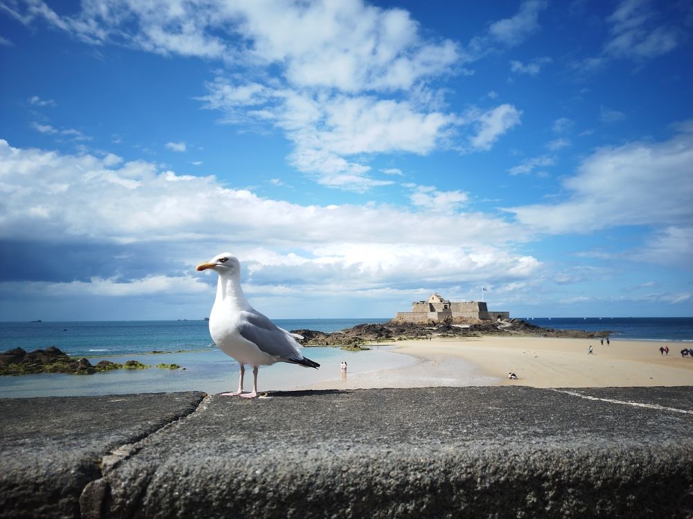 Фотография автора Clarise Joy Evangelista