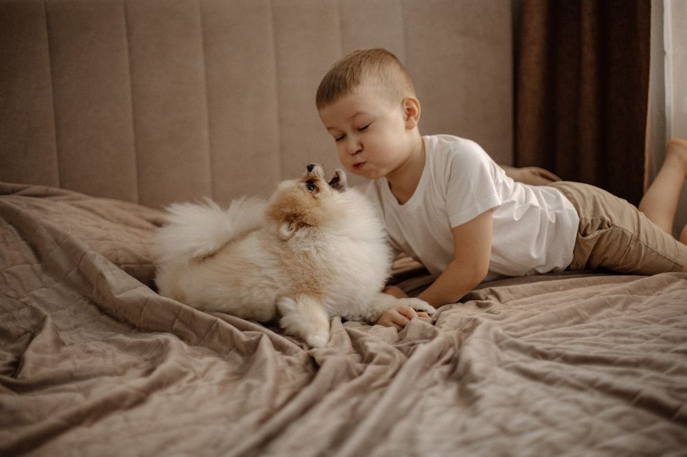 Фотография автора Ксения Кербер