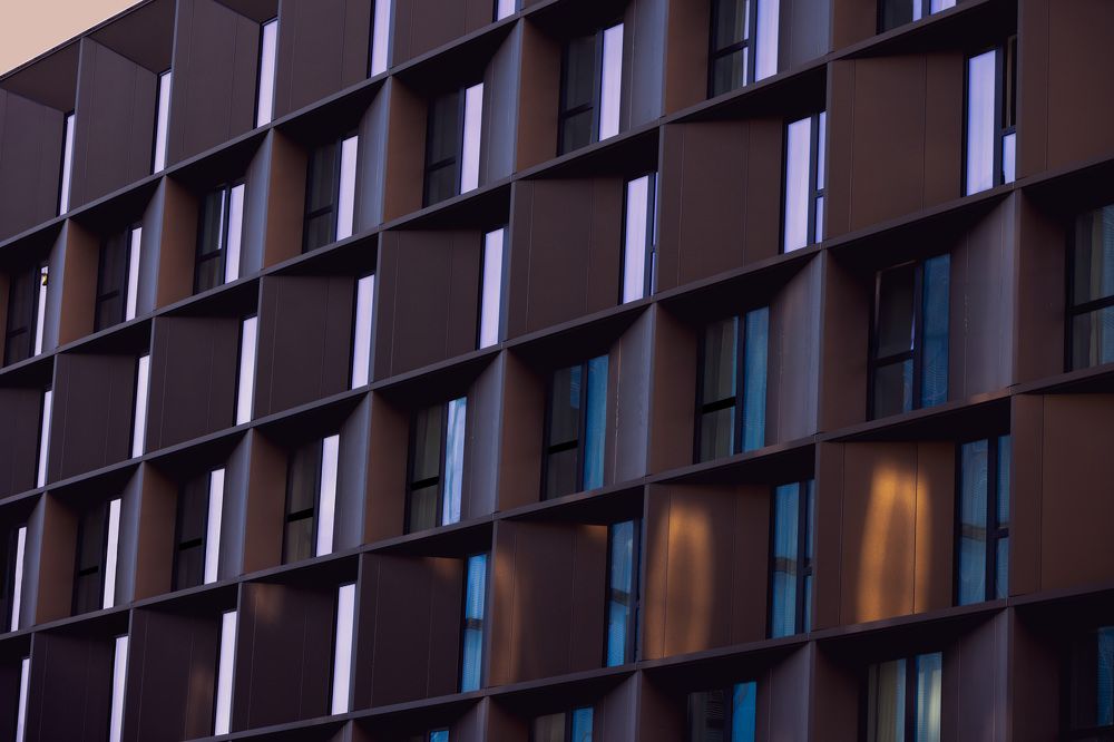 Photograph by Nazanin Valeh Shiva