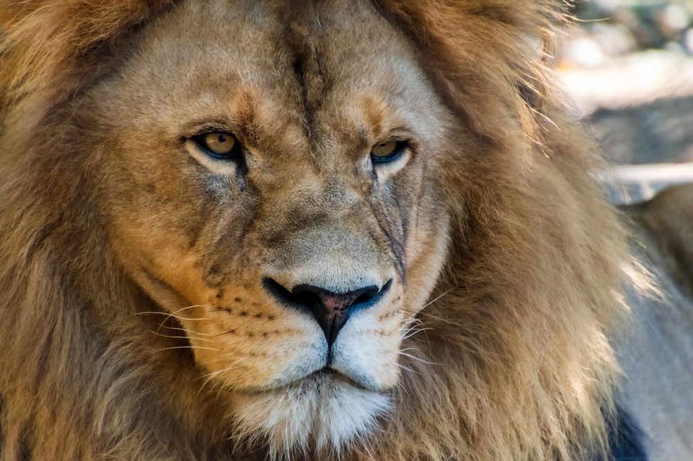 Photograph by Irina Luidinshina