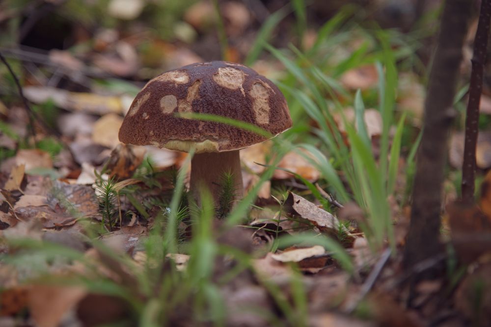 Фотография автора Войнов Дмитрий