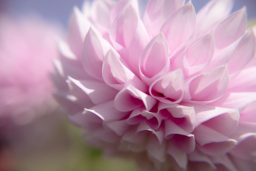 Фотография автора Войнов Дмитрий