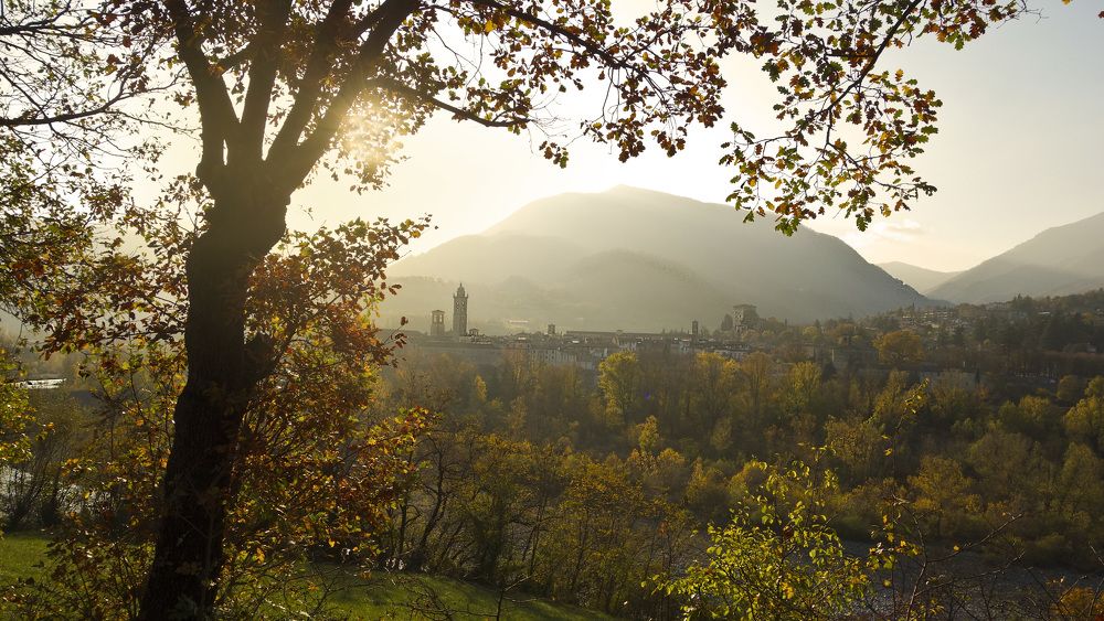 Фотография автора Liliana C.