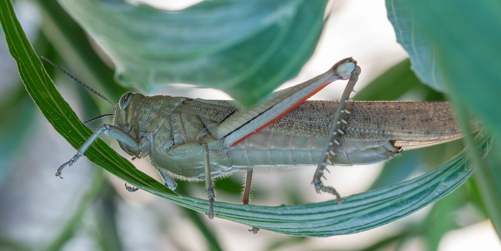 Фотография автора DIMITRIS MPAZIOTOPOULOS