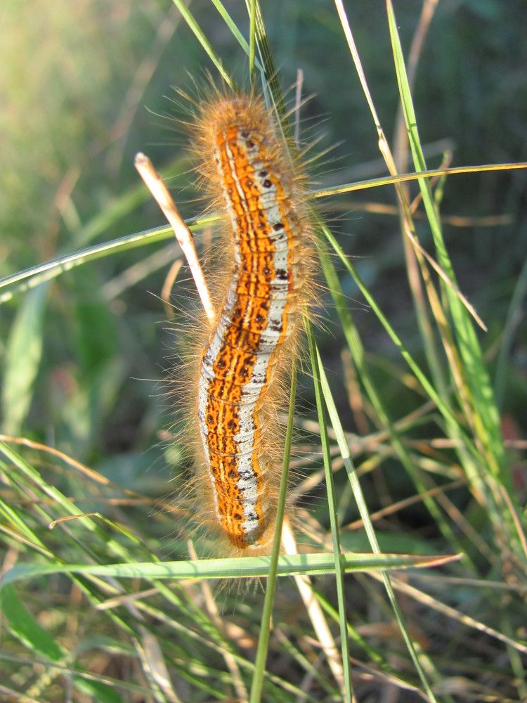 Photograph by Юлия