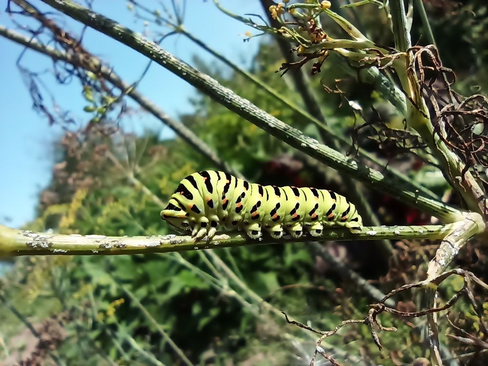 Photograph by Юлия