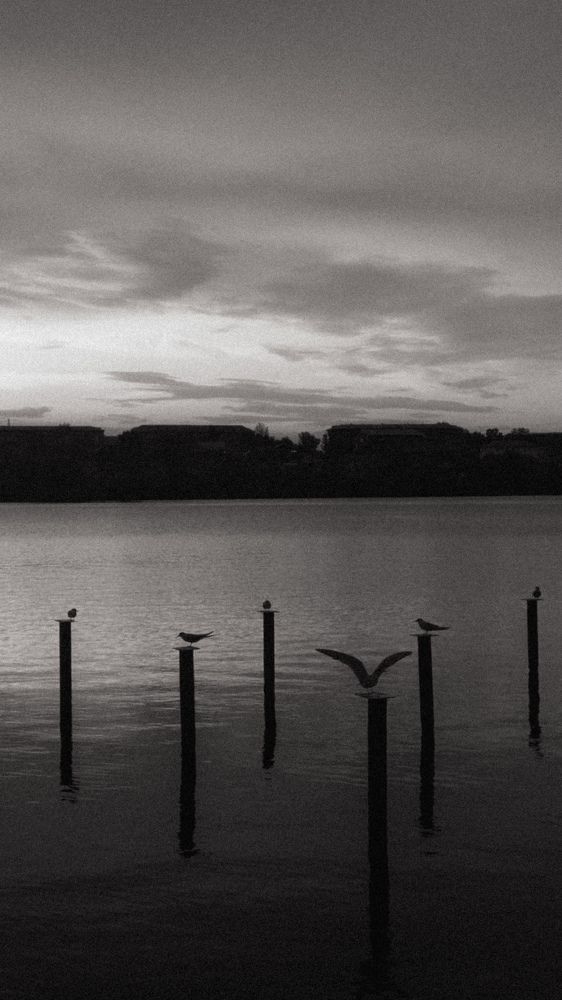 Photograph by Кирилл Лукин