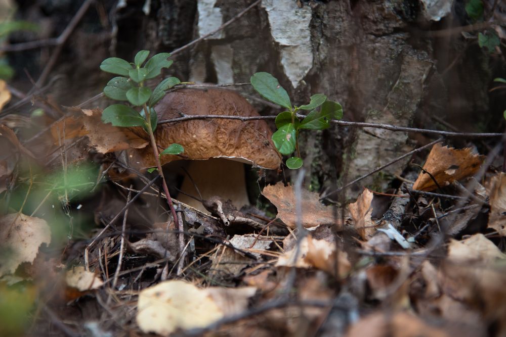 Фотография автора Войнов Дмитрий