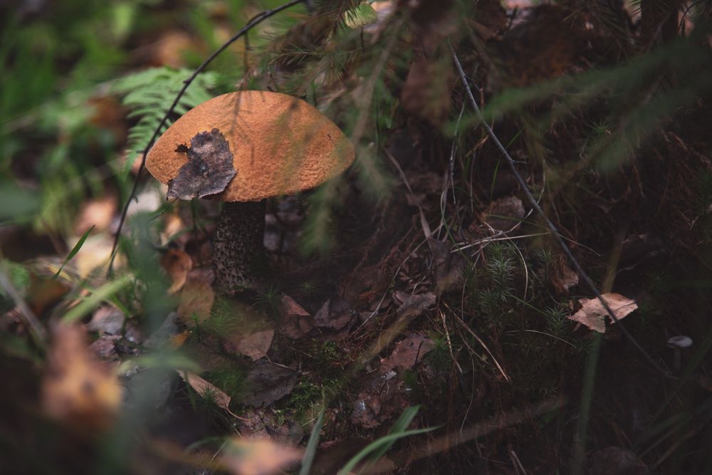 Фотография автора Войнов Дмитрий